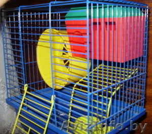 Продам клетку для хомячка #725622