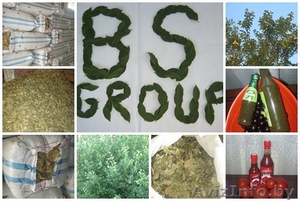 bsgroup LTD высококачественные продуктыи из Грузии #716340
