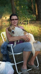 Эталон любви и преданности - собака Ядя! В дар,  в добрые руки! #683247