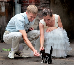 ФОТО и ВИДЕО для ВАС ! #747462