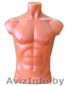 манекен- торс мужской #746870