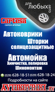 автоковрики шторки сьемные #728993