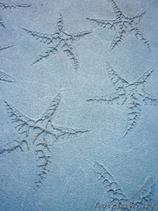 Декоративные краски и штукатурки OIKOS в Гомеле #744146