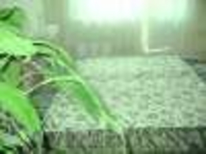 Вы перед выбором, где остановиться? Добро пожаловать  к нам! #734206