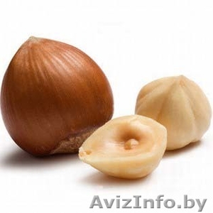 Фундук очищенный #746735