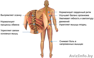 ЛУЧШИЕ ЦЕНЫ Оригинальные массажные обруч Dynamic Health Hoop S 1, 6 кг #263962