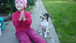 Очаровательная малышка Марточка в дар. #744840