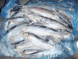Свежемороженную рыбу #734909