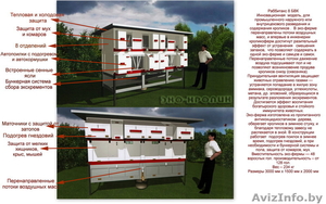 Кролиководство,  оборудование для кроликов #733423