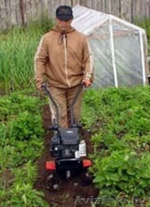 Культиватор LIDER WM500MX #753621