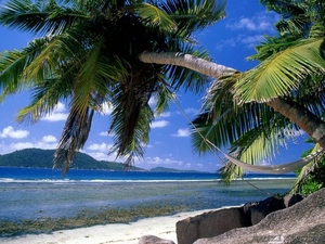 Славянка Туроператор!!!!!!!!! #755798