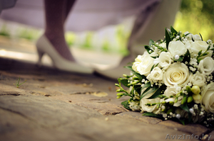 Tunik Alexander photographer (фотограф Туник Александр) #759976