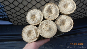 топливные брикеты-евродрова #759877