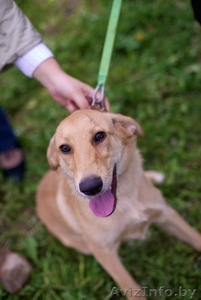 Джессика- рыженькая  модель #761831