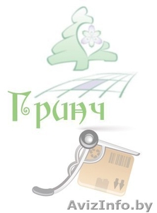 Благоустройство территории [Минск] - Гринч #760641