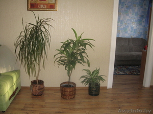 срочно продам 2-комн. квартиру #752527