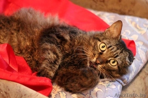 ВАСЯ-БОМЖ в дар! #761181