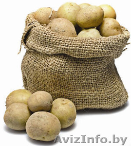 Картофель крупный 1 200 р./кг #762692