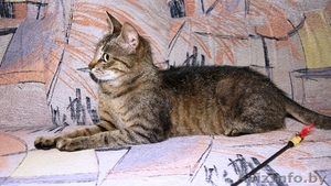 Дюймовочка Люся! #765772