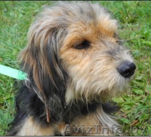 Прелестная добрая умная Стэйси. Красавица. #769486