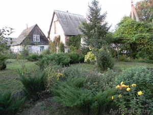 Дом  на Соже в Скитке #770034