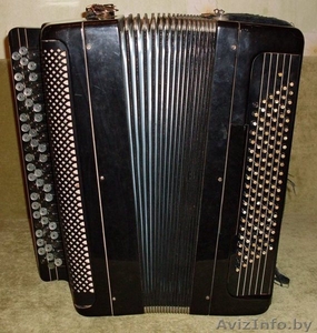 Баян Ясная Поляна #780791