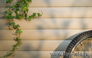 Металлический сайдинг Блок-хаус #769705