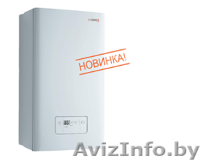 Газовые котлы Protherm Gepard #766088