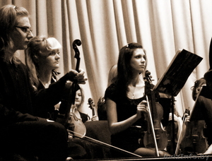 частные уроки игры на скрипке,  взрослым и детям.                                 #798352