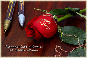 Арт-фломастеры для надписей на живых цветах #788077