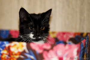 Малышка непоседа в дар. #793944