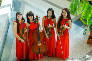 Струнный квартет Muse на свадьбу!!! #786527