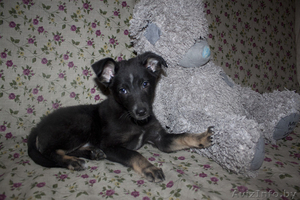 Душевная Энди ищет свой дом #789659