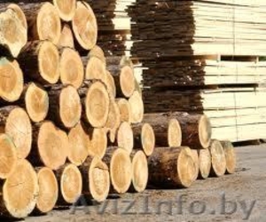 Лесоматериал круглый #798826