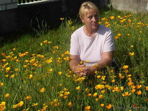 Тимченко Л.П. цветоводство 2012 #795789