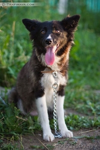 Нона в поисках нового дома! #792060