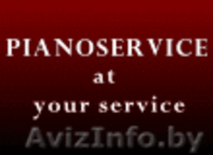 Инструмент и комплектующие для пианино и роялей #791916