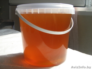 Натуральный мед #803402