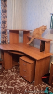 угловой компьютерный стол c тумбочкой #812749