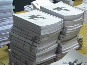 Типография Мактеон #825013