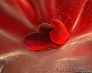 Проведение свадьб и корпоративов  #819703