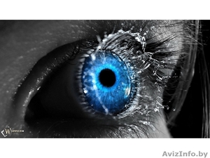 Компьютерная Помощь DVD BOSS #831816