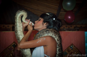 Уникальное театрализованное восточное шоу со змеями! Аналогов нету! #830581