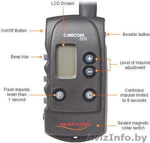 Антилай и электроошейник для дрессировки собак #826961