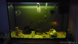 Аквариум 160 литров с оборудованием #832717