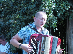 Баянист для праздника. #818400