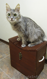 Сундук Сундучки от Оли #817067