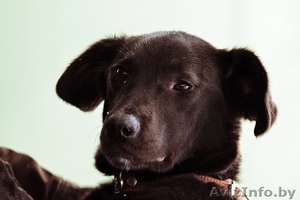 Винни нужна любящая семья! #817805