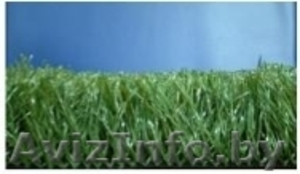 Искусственный газон (Италия) #826630