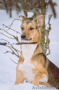 Изящная, умная, добрая, нежная... #833403